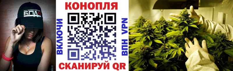 Магазины продажи наркотиков Тырныауз A-PVP Галлюциногенные грибы МАРИХУАНА