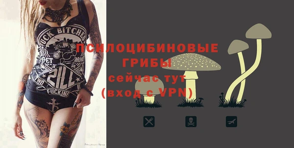 трава Переславль-Залесский
