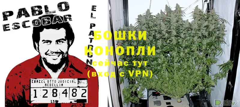 mega ТОР  Тырныауз  Марихуана SATIVA & INDICA 